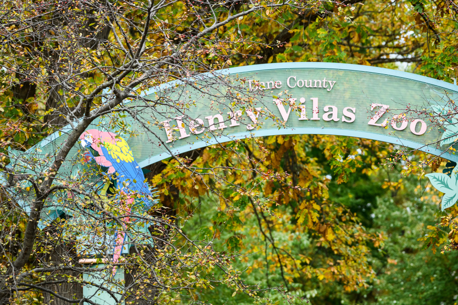sign for the henry vilas zoo among fall foliage