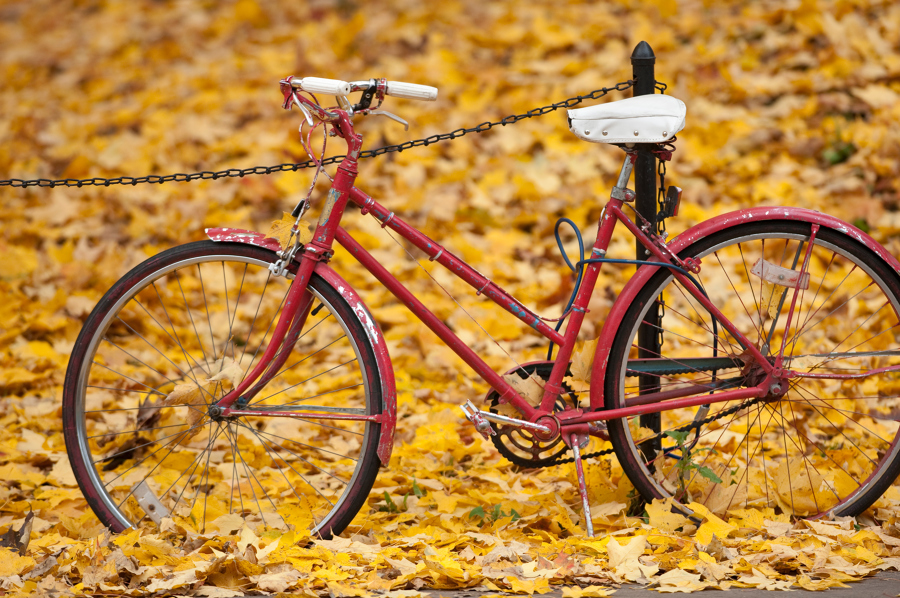 bike marked alongside a fence in autumn with fallen leaves around it